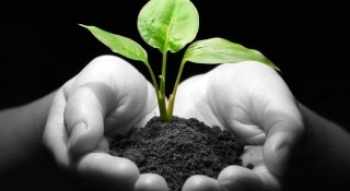 شركة التنظيم المتحدة